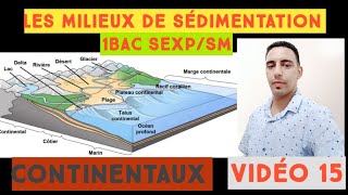 Les milieux de sédimentation actuels  géologie externe 1BAC video15 [upl. by Jarred]