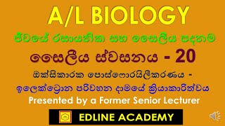 Mechanism of Electron Transport Chain  Cellular respiration No  20 AL Biology Sinhala Lessons [upl. by Idnahc930]