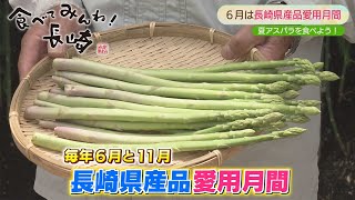 【KTN】6月は長崎県産品愛用月間！長崎の夏アスパラを食べよう！ [upl. by Nilrem]