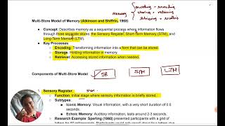 AQA Psychology  Multistore Model MSM  Oxford International AQA Psychology  Part 1 aqa alevel [upl. by Anaitsirk]