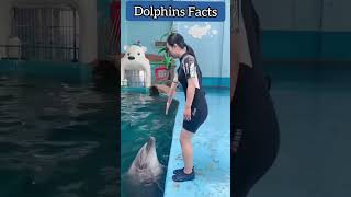 dolphins amazing facts [upl. by Aneerahs121]