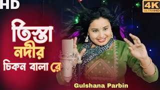 tista nodir chikon kala re তিস্তা নদীর চিকোন কালা রে। new viral song Singer gulshana Parbin [upl. by Oicor493]