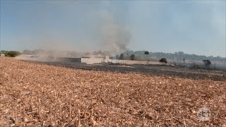 Incêndio em mata e palhada de milho quase atinge casas em Sinop [upl. by Jamnes]