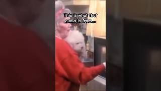 The lady that put her poodle in the microwave… they made a movie on it I guess creepy horror [upl. by Ynnahc]