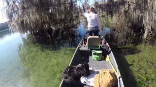 Looking for fish at the Mill Pond [upl. by Rebmaed]