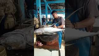 Cutting big tuna segar shorts fishcutting [upl. by Eanod]