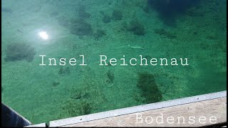 Insel Reichenau 2022 Bodensee [upl. by Plerre]