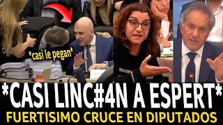 ¡DIPUTADOS K CASI LINCH4N a ESPERT en VIVO y se PUDRIÓ TODO [upl. by Isma41]