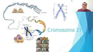 SÍNDROME DE DOWN  TRISOMÍA 21  MOSAICOMOSAIQUISMO  LIBRE  TRASLOCACIÓN [upl. by Terra]