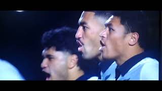 All Blacks VS France  Haka  2024  Paris  Stade De France [upl. by Oirazan]