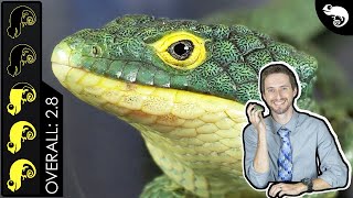 Abronia Arboreal Alligator Lizard The Best Pet Lizard [upl. by Aisat]