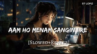 AAM HO MENAM SANGINJ RE  NEW SANTALI SONG  SlowedReverb ST Lofiz [upl. by Anihsit426]