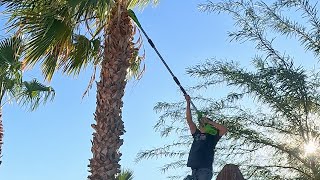 Trimming Trees with Ease A Review and Demonstration of the Greenworks Electric Pole Saw [upl. by Olga]