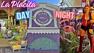 La Placita De Santurce Daytime Market amp Nighttime Party [upl. by Nniw800]