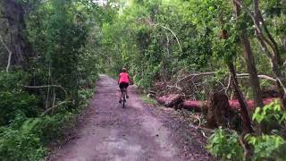 Matheson Hammock Nature Trail [upl. by Jacy]