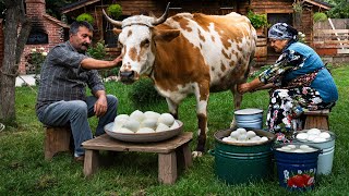 Fresh Adana Cheese from Cows Milk A Village Tradition 🐄🍃 [upl. by Nassi]