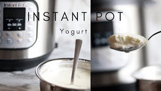 Instant Pot Yogurt  Instant Pot Yogurt Indian Style  Instant Pot Thick And Creamy Yogurt  Dahi [upl. by Bannon19]