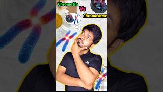 Chromatin and chromosome  Class 9 Science  Class 10 science shorts biology science [upl. by Ayekehs]