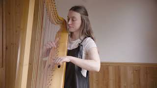 Strozzis Che si puo fare on the Italian triple harp [upl. by Haletta]