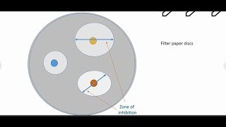 Assessment of new antimicrobial agents [upl. by Bull]