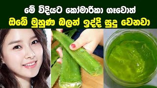 කෝමාරිකා වලින් මුහුණ සුදු කරගන්න පුළුවන් ක්‍රම 07ක්  07 Benefits of Aloe Vera for Skin [upl. by Dolly]