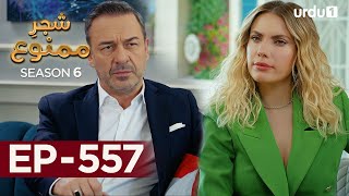 ShajareMamnu  Episode 557  Turkish Drama  Forbidden Fruit  Urdu Dubbing  30th May 2023 [upl. by Anissa109]