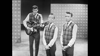 Bee Gees  My Old Mans A Dustman Bandstand 1963 [upl. by Nylirac]