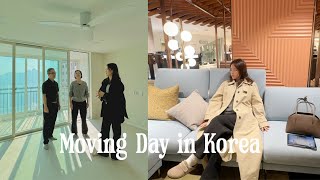 Homebody in Korea  Moving into new Korean apartment furniture shopping beauty day settling in [upl. by Suoiradal]