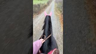 💘 horse equestrian equestrianvibes pferdemädchen westernriding horseriding [upl. by Swiercz]