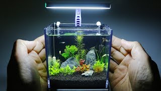 The Worlds Smallest Plant Aquarium 1 [upl. by Bensen938]