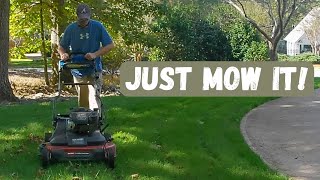 Mowing New Grass  TTTF Pennington Elite Seed First Mow  Toro Timemaster [upl. by Yves]