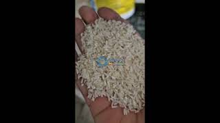 Raw Rice Sorting Machine  Origin Color Sorter [upl. by Charley]