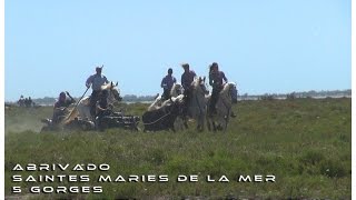 Abrivado 5 Gorges Saintes Maries de la Mer 17062016 [upl. by Aelaza]