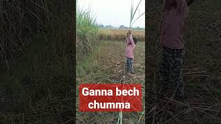 ganna bech ke chumma lehab yek lakh me [upl. by Cammy]