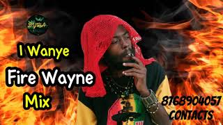 I Wayne Mix 2024 Reggae Mix [upl. by Abbub]