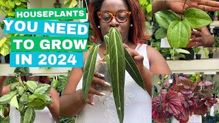 10 Unique Houseplants you NEED to grow in 2024 New plant haul [upl. by Arlen]