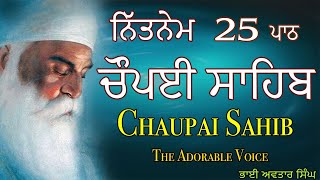 Chaupai Sahib 25 Path Full  Vol 149  Chaupai Sahib Nitnem  Path Chaupai  Bhai Avtar Singh [upl. by Aborn]