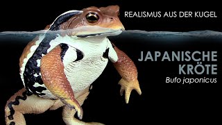 Japanische Kröte  Azuma Toad  Bufo japonicus  realistisches Modell  Gashapon Unboxing amp Review [upl. by Neira]