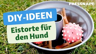 DIY für Hunde  Eistorte selber machen [upl. by Ten]