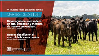 Webinario sobre ganadería bovina  Hipomagnesemia y Sarna [upl. by Odlaner]