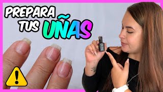 ¿Cómo PREPARAR tus UÑAS para ESMALTE SEMIPERMANENTE FÁCIL Curso De Uñas 009 [upl. by Tarkany]