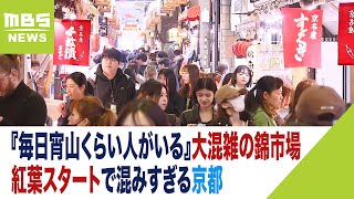 『毎日宵山くらい人がいる』大混雑の錦市場…課題の食べ歩きにイートインで対応の店も（2023年11月20日） [upl. by Elberfeld519]