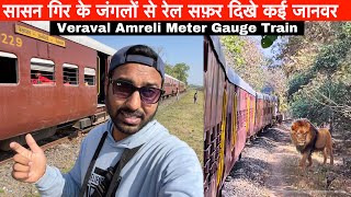 Veraval Amreli Meter Gauge train journey through Gir forest •Jangli Janwar dikhe•😱 [upl. by Celine634]