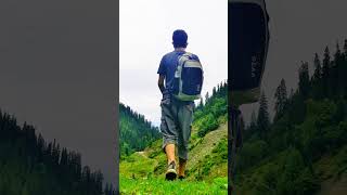 Mountain call 🏞️🔥🔥viralvideo nature trending [upl. by Dnaltiak]