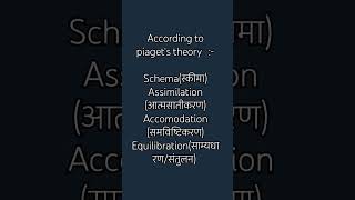 piaget theory schemaassimilationaccodationequilibration [upl. by Acebber]