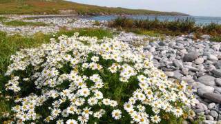 Afore the Mast Tales from Shetland Tracks 13 of 14 [upl. by Kerred]