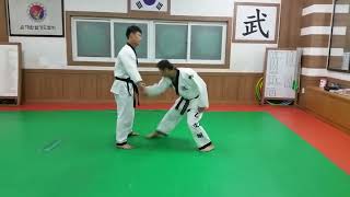 real arristeng hapkido police techniques [upl. by Notsyrb]