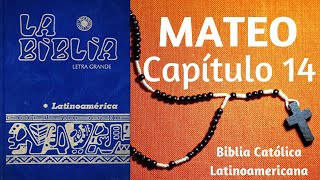 ❤️✝️ Evangelio SEGÚN MATEO Capítulo 14  Biblia CATÓLICA Latinoamericana [upl. by Eiboj]