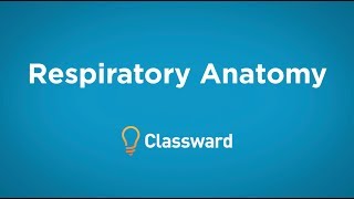 Respiratory Anatomy and Physiology Overview  EMTprepcom [upl. by Enibas13]