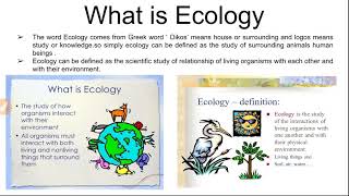 What is ecology and ecosystem classification of ecosystem [upl. by Neesay]